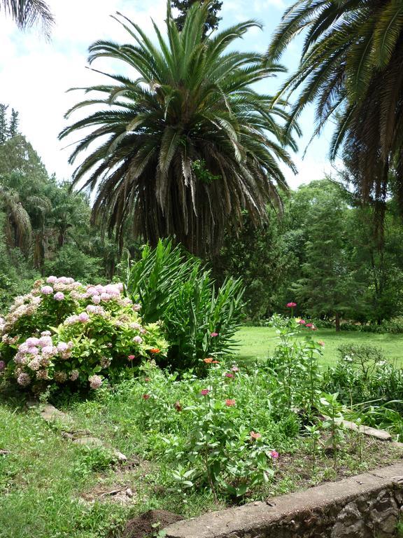 Finca La Colorada San Salvador de Jujuy Exterior foto