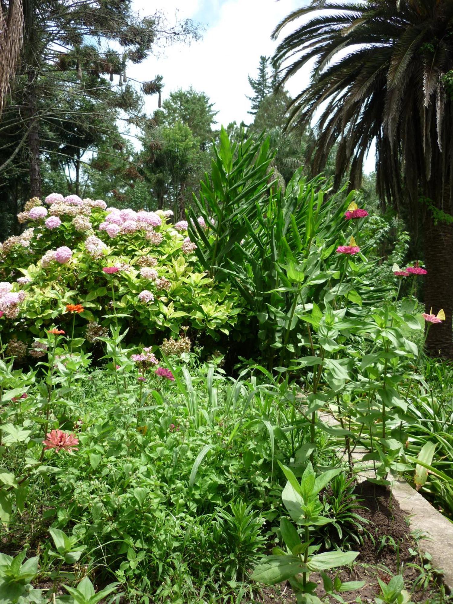 Finca La Colorada San Salvador de Jujuy Zimmer foto